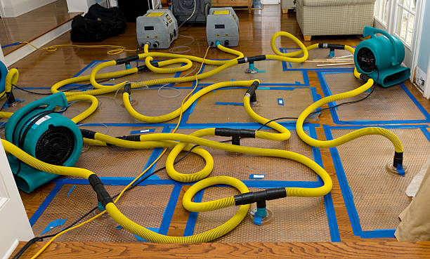 Professional Sewage Cleanup technician working in Omaha, TX